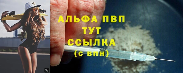 стаф Кинешма