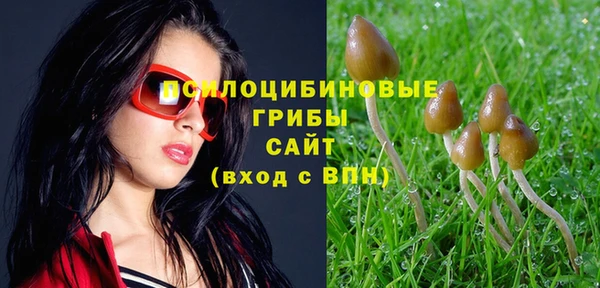 таблы Киреевск